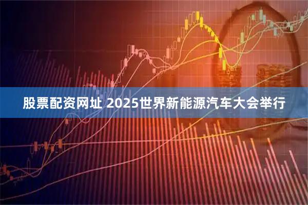 股票配资网址 2025世界新能源汽车大会举行
