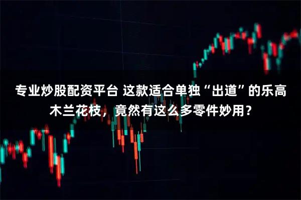 专业炒股配资平台 这款适合单独“出道”的乐高木兰花枝，竟然有这么多零件妙用？